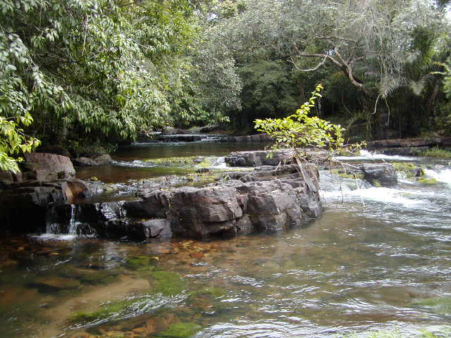 Pond in Guinia